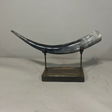 Authentic Texas Longhorn Horn on custom Wood Stand Display picture