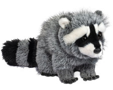 Roz DLUX Raccoon 17