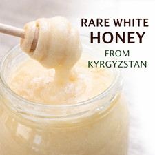 Raw White Honey Creamy Sainfoin Kyrgyzstan Pure Natural Rare عسل ابيض قرغيزستان picture