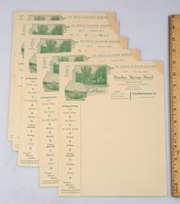 Lot of 5 Peerless Spring Hotel  Sanatorium Stationery Fox Lake Wisconsin 1900s picture