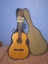 Giannini AWN 31  picture