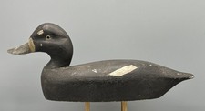 CA 1920s ***ALEX BAY*** ANTIQUE WOODEN DUCK DECOY BLUEBILL HEN IN ORIGINAL PAINT picture