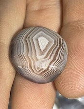 Unique Collector Quality Botswana Agate picture