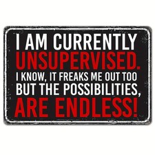 Retro Aluminum Tin Metal Signs Home Décor Im Currently Unsupervised Funny picture