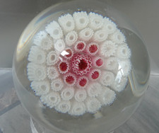Rare Antique Gillinder & Sons Glass Concentric Millefiori Paperweight 1860's picture