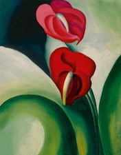 Georgia O'Keeffe Anthurium 1923 Red Flowers American Modernism picture