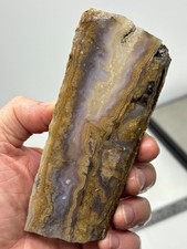 Old Stock Seam Agate Slab Cabbing Lapidary Collecting Combo Ship Avail picture