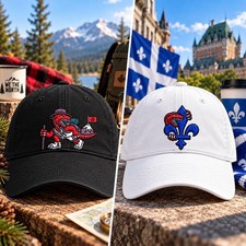 HOT NEW  Toronto Raptors Canada Games 2026 Embroidered Hat NBA Other Fan Gift picture