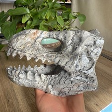 3LB natural Zebra stone Dinosaur skull carved Quartz Crystal reiki Gift picture