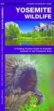 Yosemite Wildlife (Nature Observation North America) Kavanagh Waterford Pres... picture
