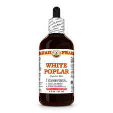 White Poplar (Populus Alba) Dried Bark Liquid Herbal Extract picture
