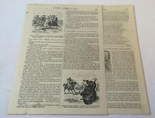 1880 article ~ RUNNING BUFFALO IN TEXAS picture