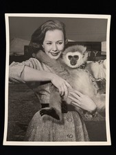 Piper Laurie Original Actress 8x10 B&W Photo 1954 - Unreleased From Estate picture