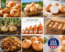 Fresh Sweet Vidalia Onions 3 lb USA Grown Non-GMO Farm Fresh  picture