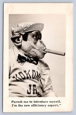 K9/ Kokomo RPPC Postcard c1940s talking Monkey Dressed Cigar Side Show 481 picture