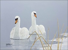 FRASE ORIGINAL PAINTING MUTE SWANS BIRD WILDLIFE ART DNR DU DUCK STAMP ARTIST picture