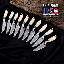 Custom Handmade Damascus Steel Lot Of 10 Skinner Knife USA IMPORT TEX PAID picture