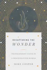 Recapturing the Wonder: Transcendent Faith in a Disenchanted World - GOOD picture