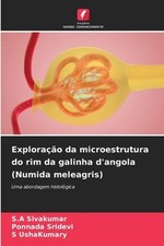 Explorao da microestrutura do rim da galinha d'angola (Numida meleagris) by S.A. picture