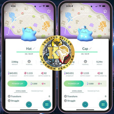 PTCGo— Shiny Ditto Hat— Ditto Cap—Pokémon Pokopia Celebration Background—Digital picture