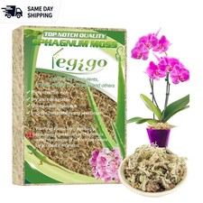4 QT Natural Sphagnum Moss - Ideal for Orchids, Succulents & Reptile Substrates picture