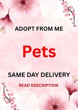 Adopt from Me P3ts picture