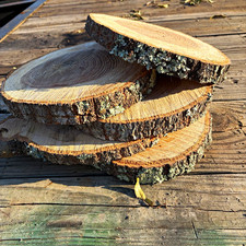 Unique Unfinished Natural Oak 12 to 14x 1”Round Slice w/ Bark Edge, Set of 5 picture