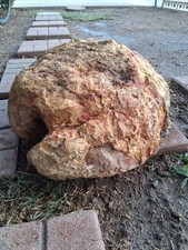 Huge Mesquite Burl CRAZY figure SOLID Heavy 24