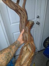 Natural Driftwood/Root Wood Aquarium Decor Branch, Brown/Beige 23 x 14 in picture