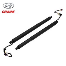 OEM Genuine Hyundai Palisade 20-24 Tailgate Lift Supports 81831S8100 81841S8100 picture