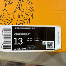 Nike LeBron Witness 6 Men's Lace Up Low Top Pure Platinum CZ4052-003 2021 picture
