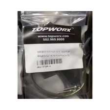 TOPWORX New Original Genuine Products   AV-TTP-1 picture