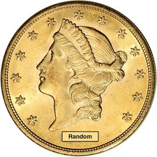 US Gold $20 Liberty Head Double Eagle - Brilliant Uncirculated - Random Date picture
