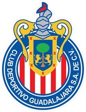 NOT A PATCH  Chivas de Guadalajara Futbol Soccer HTV Heat Transfer Vinyl Iron On picture