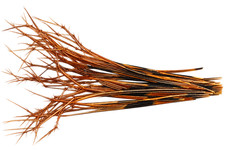 Double Knotted pheasant tail legs  , Natural , Black, 50 pieces , picture