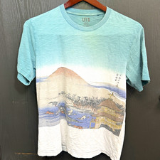 Uniqlo UT MFA Boston Japanese Art Kinkakuji Graphic T-Shirt Teal White Large picture