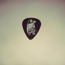 Pantera Dimebag Darrell  CFH signature 2023 Official DH Rare GUITAR PICK picture