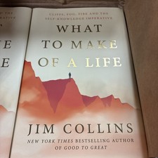 What to Make of a Life : Cliffs, Fog, Fire and the Self-Knowledge Imperative by picture