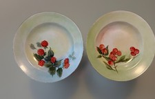 Antique Haviland Limoges H&Co L 9.5” Hand Painted Fruit Plates Pair 1876-1889 picture