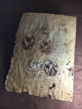 Replica Drawings of Anatomy by Leonardo da Vinci, Series II picture