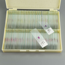100PCS Mammal Tissue Sections Histology Prepared Specimen Microscope Slides picture