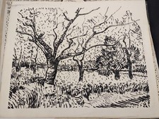 STEPHEN RONAY 1963 Original impressionist midcentury ORCHARD drawing van gogh picture