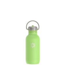Lifefactory 16oz Stainless Steel Water Bottle Straw Cap, Celery picture