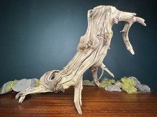 17” Manzanita Driftwood Branch, Aquarium, Terrarium, Aquascape,Home Decor picture