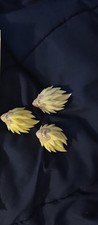 Black Hole Toys SHF Super Saiyan SSJ2 Majin Vegeta 1/12 Head Sculpt Kit + FACES picture