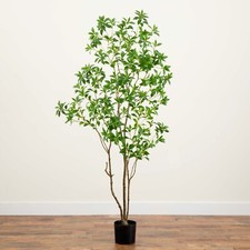 7’ Artificial Minimalist Japanese Pieris Tree w/Real Touch Leaves. Retail $309 picture