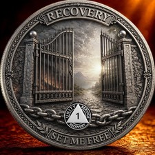 🔥1 Year Sobriety Coin AA Chip Medallion Alcoholics Anonymous One Year Sober picture