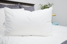IHG Featherbest 300tc Pillow QUEEN Soft Featured at IHG Hotels FREE PILLOWCASE picture