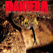 PANTERA The Great Southern Trendkill BANNER HUGE 4X4 Ft Fabric Poster Tapestry picture