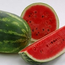 All Sweet Watermelon Seeds | Heirloom / Non-GMO |  | 1045 picture